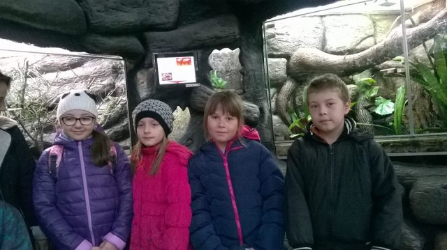 zoo 12
